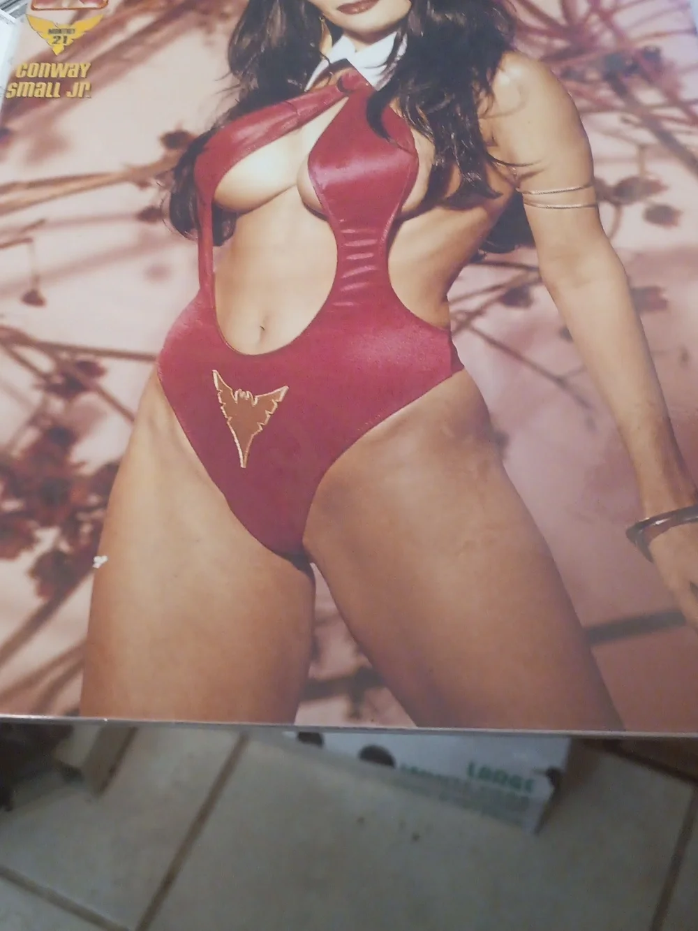Vampirella 2 Pc Comic— Inspired Style - Picture 2 of 3